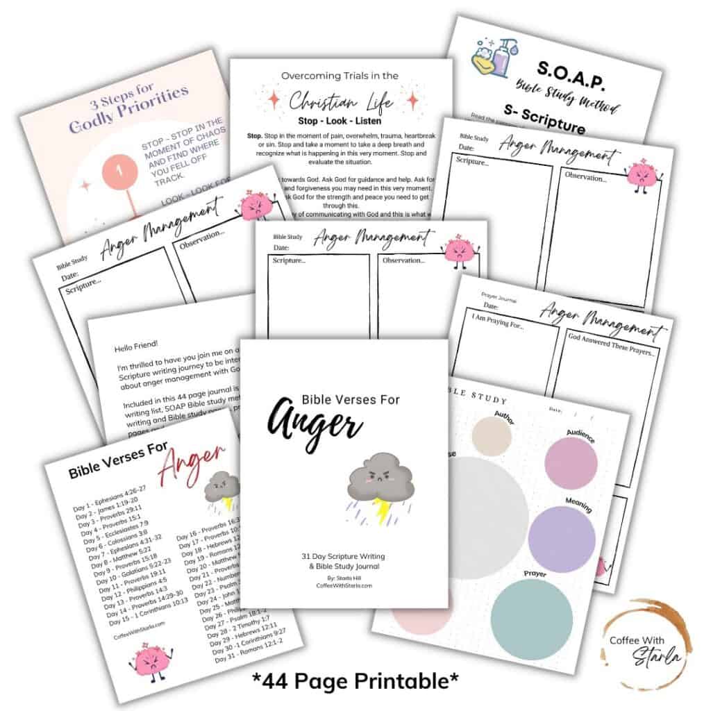 Bible verses about anger journal